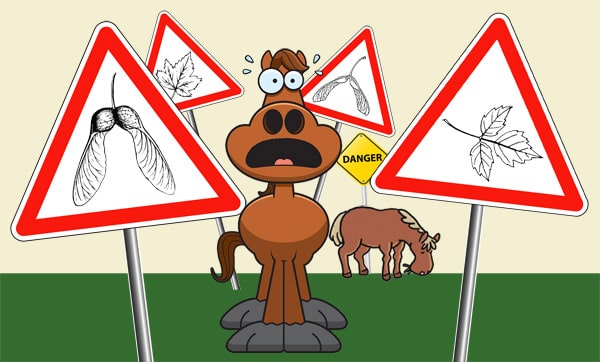 Couverture myopathie atypique